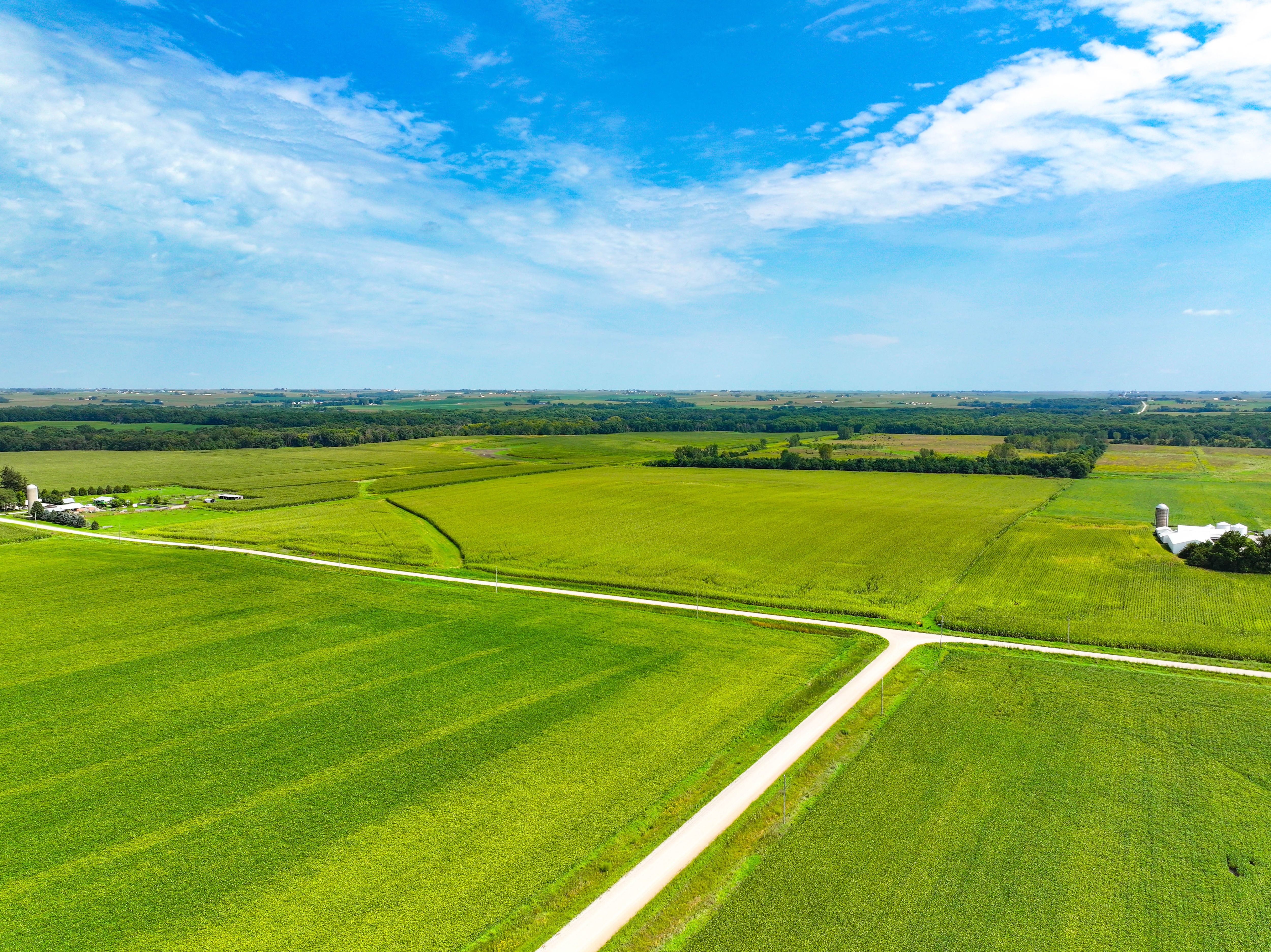 Listing Photo: 03_Buchanan County Land For Sale